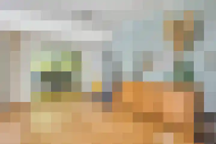 Nijmeegsebaan 47 Heilig Landstichting thumbnail 18