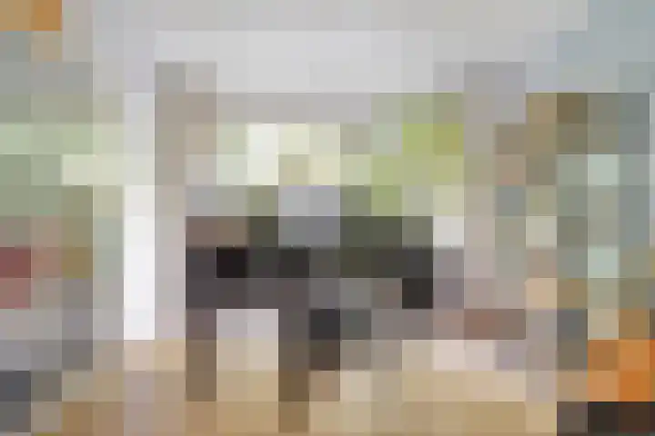 Nijmeegsebaan 47 Heilig Landstichting thumbnail 20