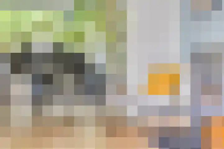 Nijmeegsebaan 47 Heilig Landstichting thumbnail 21