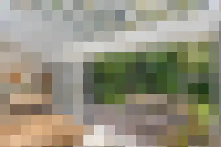 Nijmeegsebaan 47 Heilig Landstichting thumbnail 26