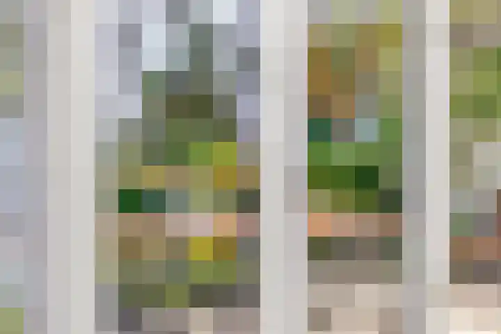 Nijmeegsebaan 47 Heilig Landstichting thumbnail 27