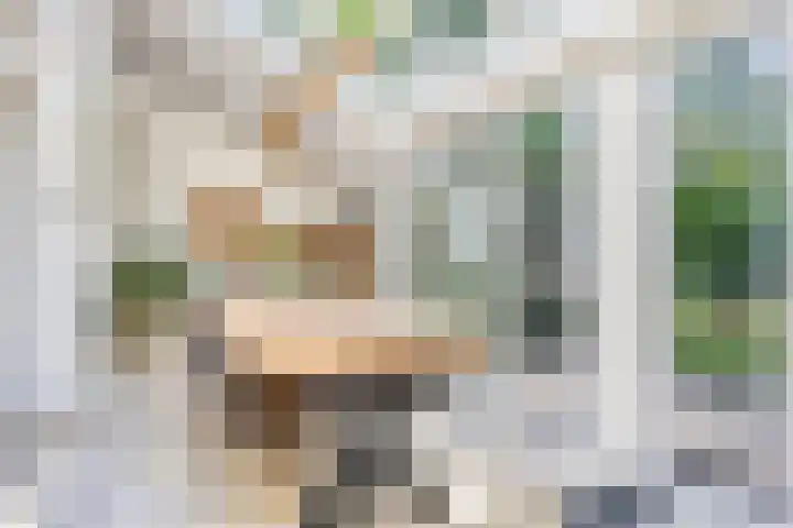 Nijmeegsebaan 47 Heilig Landstichting thumbnail 28
