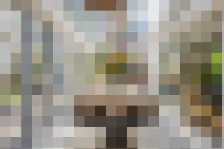 Nijmeegsebaan 47 Heilig Landstichting thumbnail 30