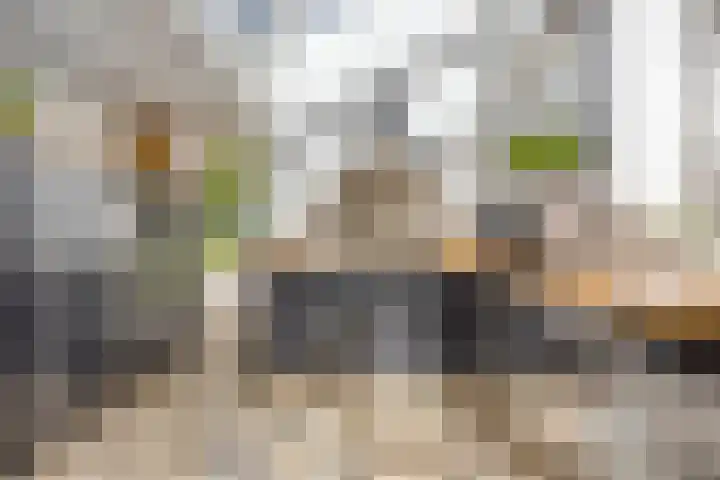 Nijmeegsebaan 47 Heilig Landstichting thumbnail 32