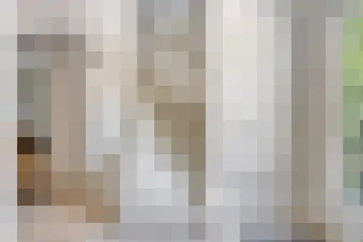 Nijmeegsebaan 47 Heilig Landstichting thumbnail 34