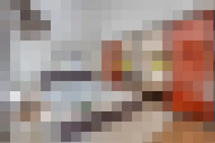Nijmeegsebaan 47 Heilig Landstichting thumbnail 35