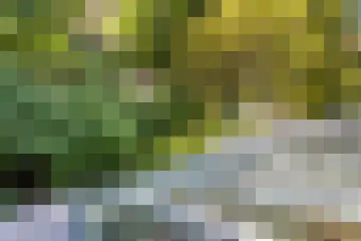 Nijmeegsebaan 47 Heilig Landstichting thumbnail 38