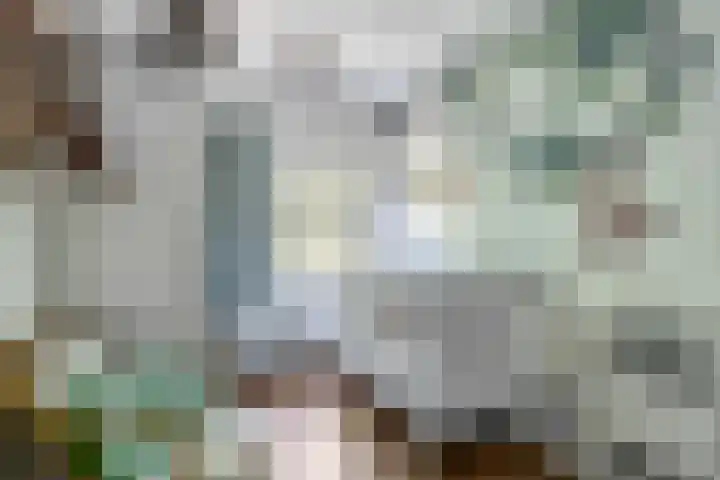 Nijmeegsebaan 47 Heilig Landstichting thumbnail 41