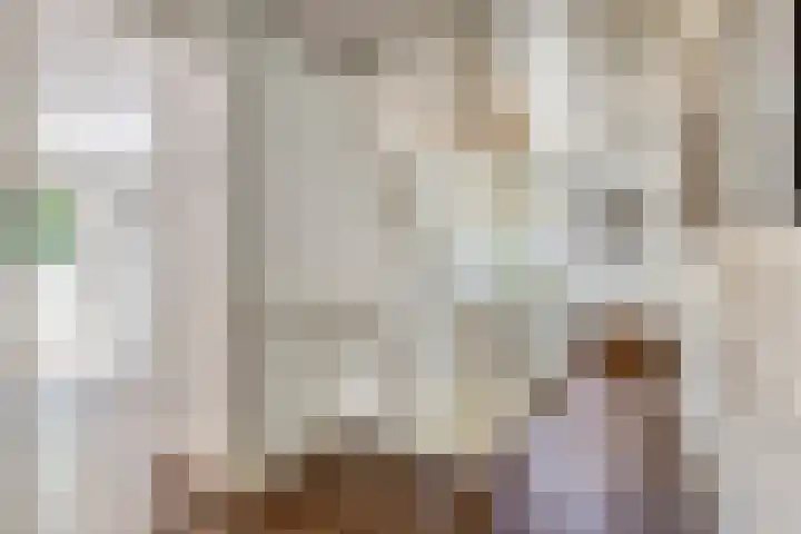Nijmeegsebaan 47 Heilig Landstichting thumbnail 45