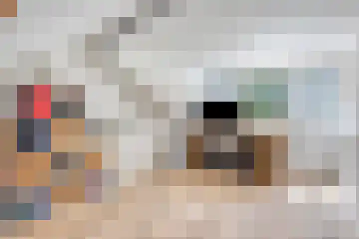 Nijmeegsebaan 47 Heilig Landstichting thumbnail 46