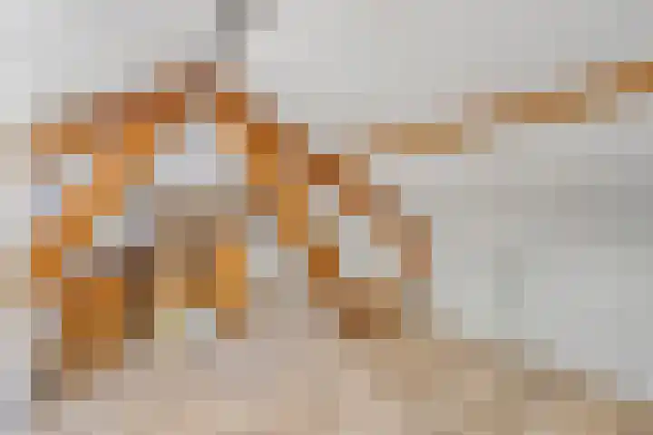 Nijmeegsebaan 47 Heilig Landstichting thumbnail 47