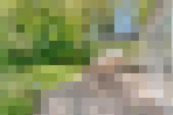 Nijmeegsebaan 47 Heilig Landstichting thumbnail 48