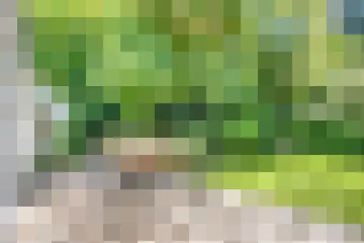 Nijmeegsebaan 47 Heilig Landstichting thumbnail 49