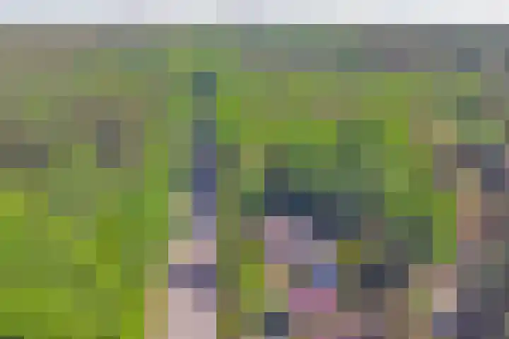 Nijmeegsebaan 47 Heilig Landstichting thumbnail 5