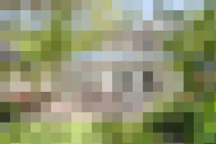 Nijmeegsebaan 47 Heilig Landstichting thumbnail 50