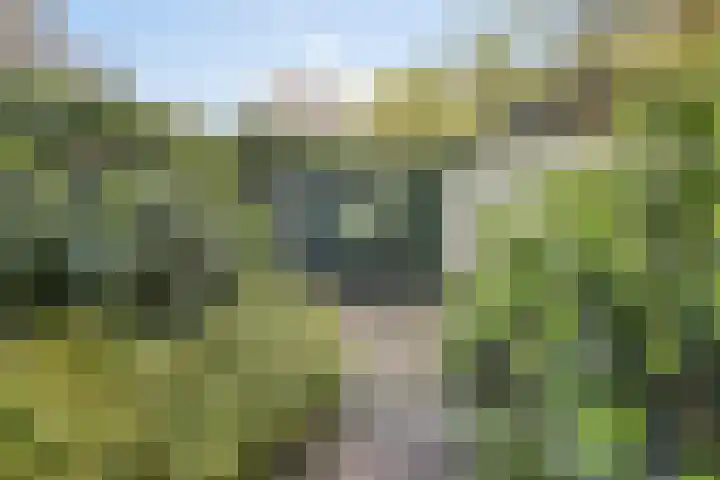 Nijmeegsebaan 47 Heilig Landstichting thumbnail 51