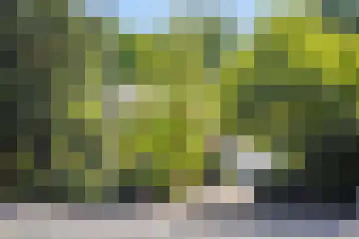 Nijmeegsebaan 47 Heilig Landstichting thumbnail 52