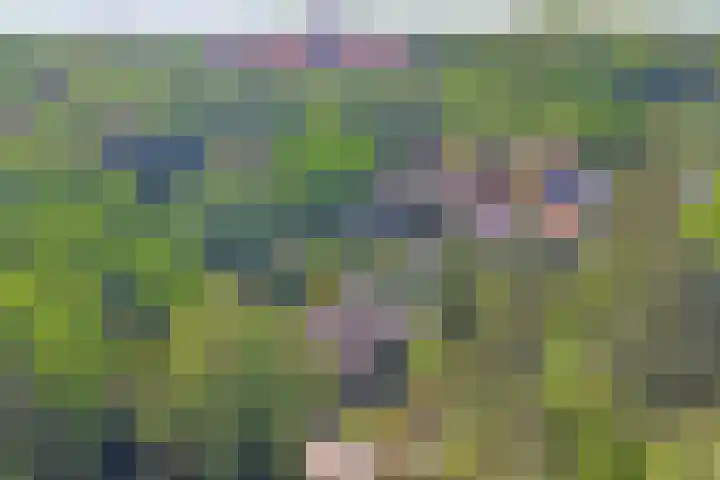 Nijmeegsebaan 47 Heilig Landstichting thumbnail 54