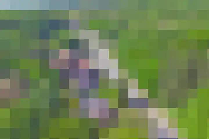 Nijmeegsebaan 47 Heilig Landstichting thumbnail 55