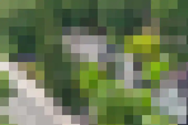 Nijmeegsebaan 47 Heilig Landstichting thumbnail 56