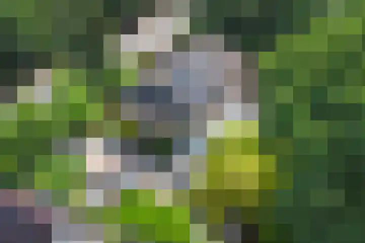 Nijmeegsebaan 47 Heilig Landstichting thumbnail 57