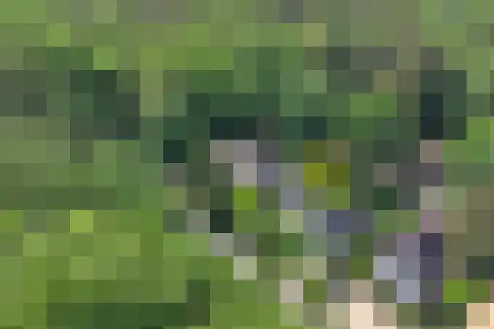 Nijmeegsebaan 47 Heilig Landstichting thumbnail 59