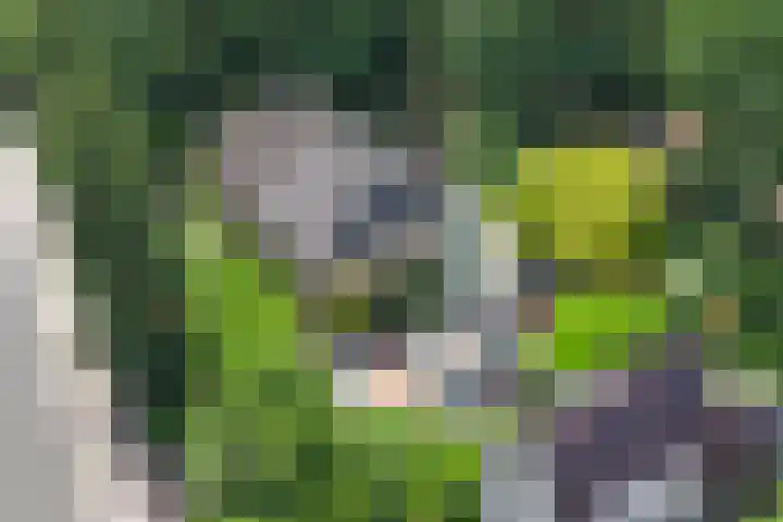Nijmeegsebaan 47 Heilig Landstichting thumbnail 6