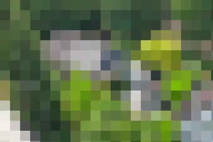 Nijmeegsebaan 47 Heilig Landstichting thumbnail 60