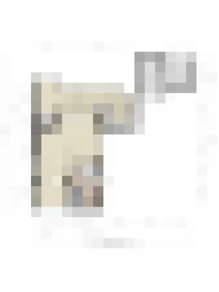 Nijmeegsebaan 47 Heilig Landstichting thumbnail 61