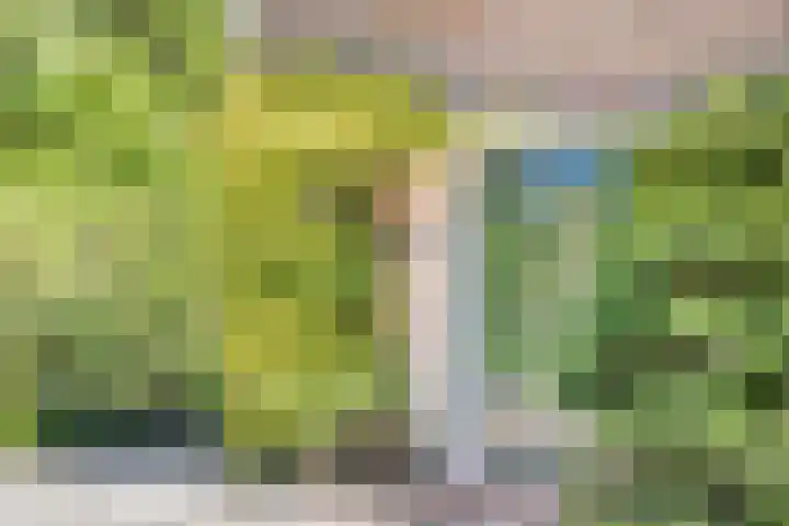 Nijmeegsebaan 47 Heilig Landstichting thumbnail 9