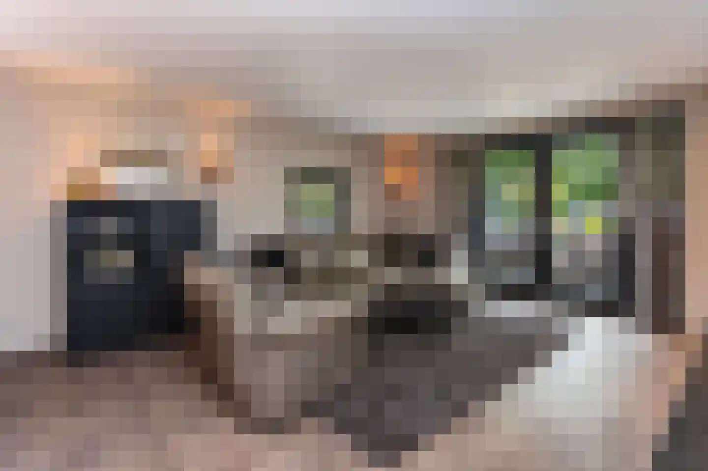 Nijmeegsebaan 6 a Groesbeek thumbnail 13