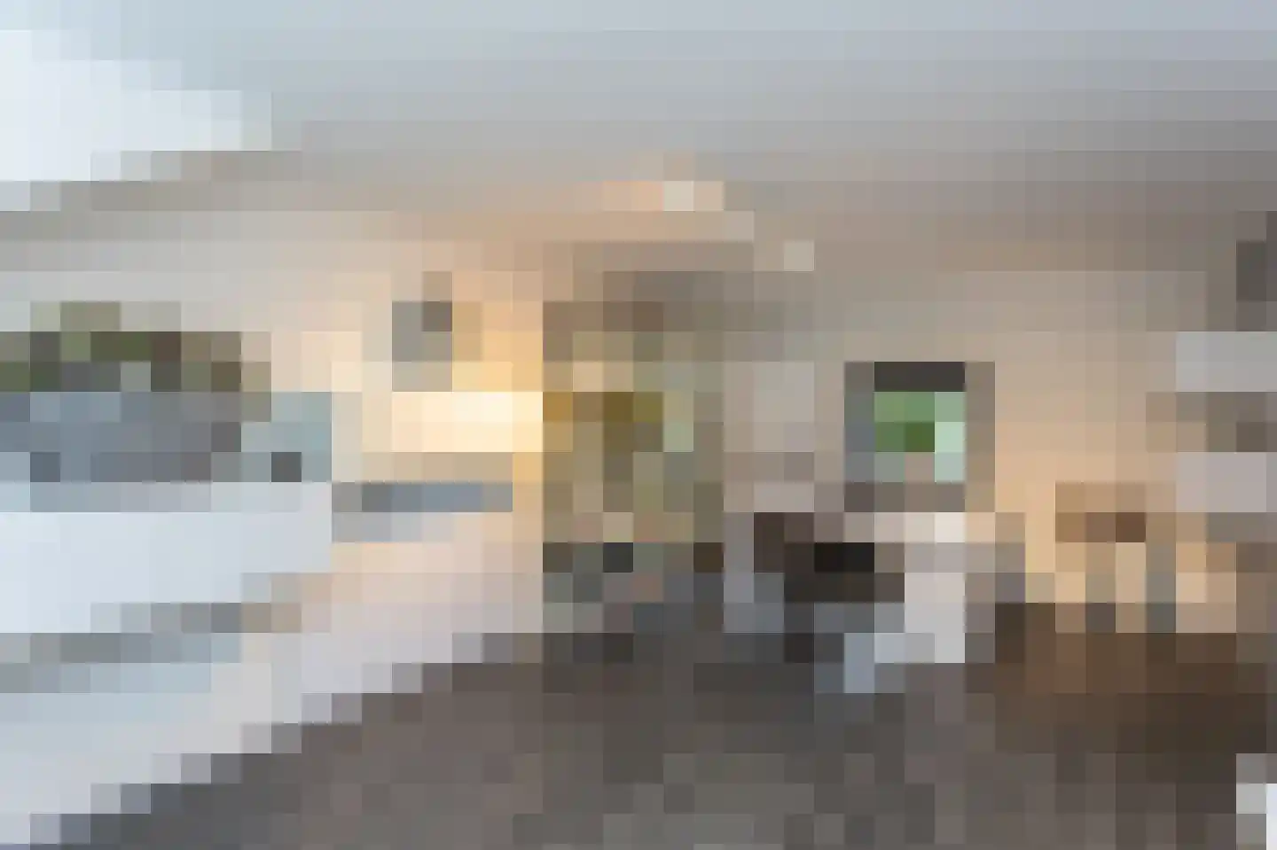 Nijmeegsebaan 6 a Groesbeek thumbnail 39