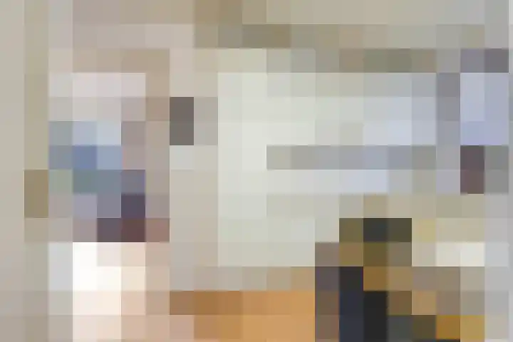 Nijmeegsestraat 10 Gendt thumbnail 17