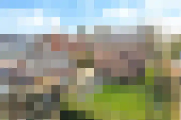 Nijmeegsestraat 10 Gendt thumbnail 27