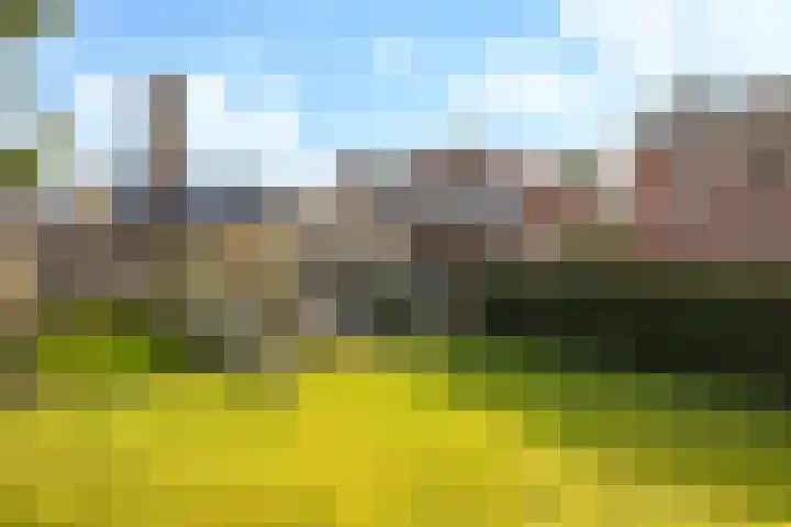 Nijmeegsestraat 10 Gendt thumbnail 29