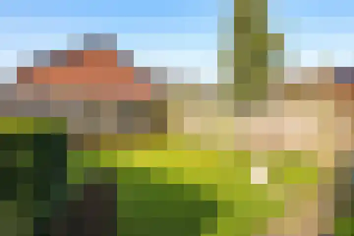 Nijmeegsestraat 10 Gendt thumbnail 31