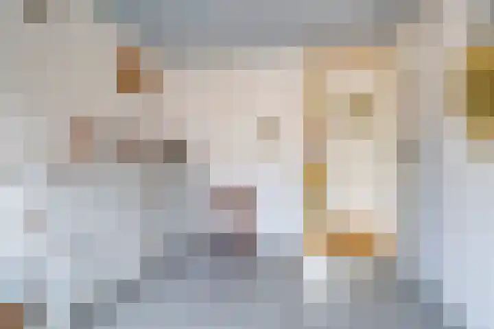 Nijmeegsestraat 10 Gendt thumbnail 51