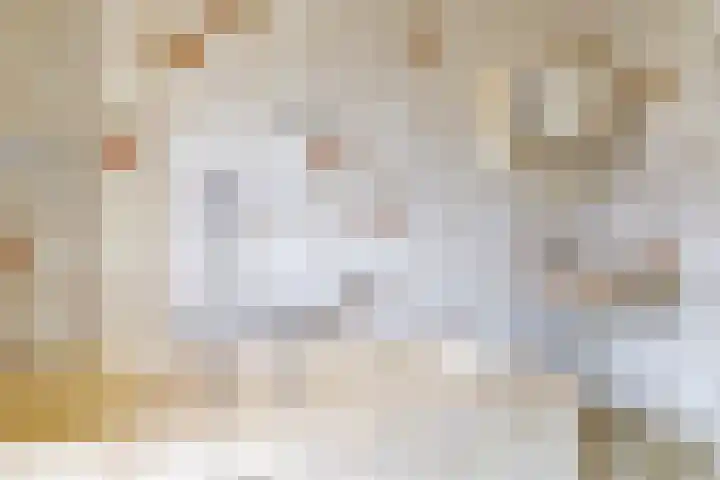 Nijmeegsestraat 10 Gendt thumbnail 55