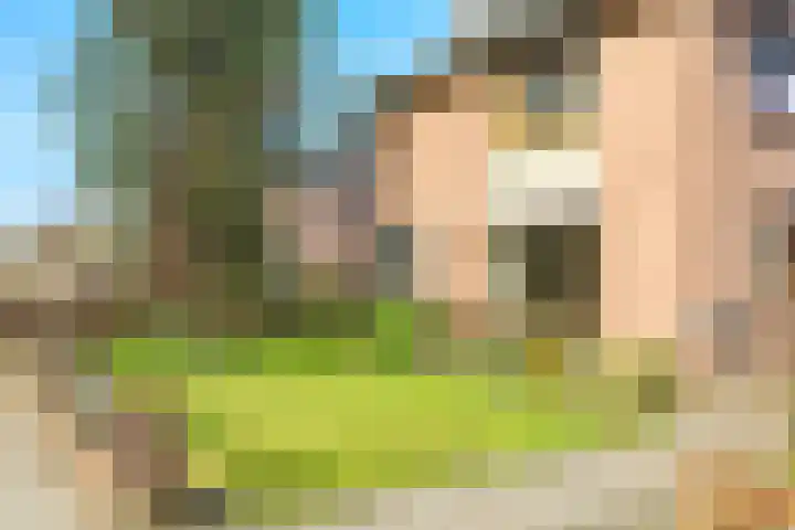 Nijmeegsestraat 10 Gendt thumbnail 6