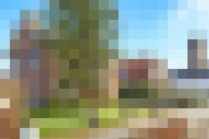 Nijmeegsestraat 10 Gendt thumbnail 63