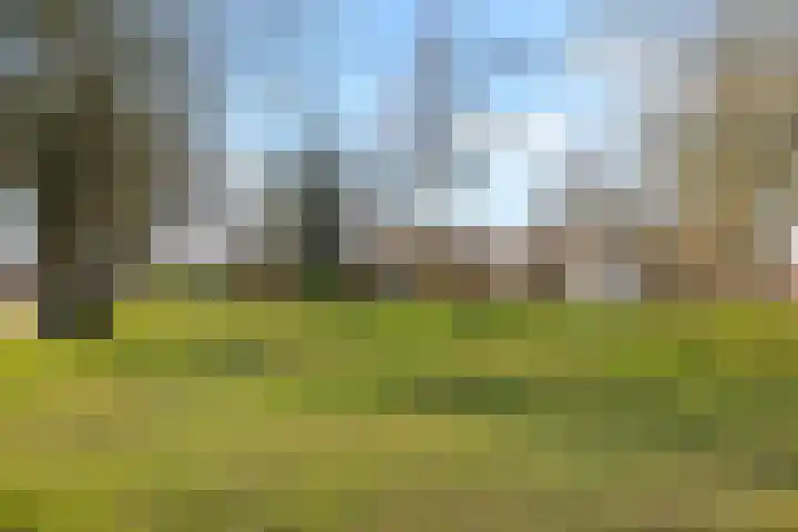 Nijmeegsestraat 10 Gendt thumbnail 65