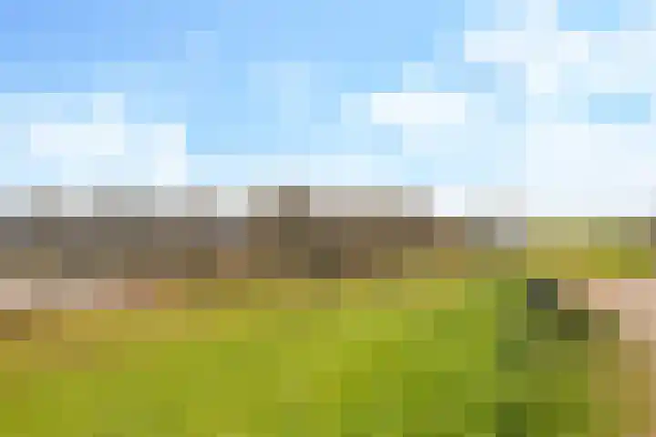 Nijmeegsestraat 10 Gendt thumbnail 66