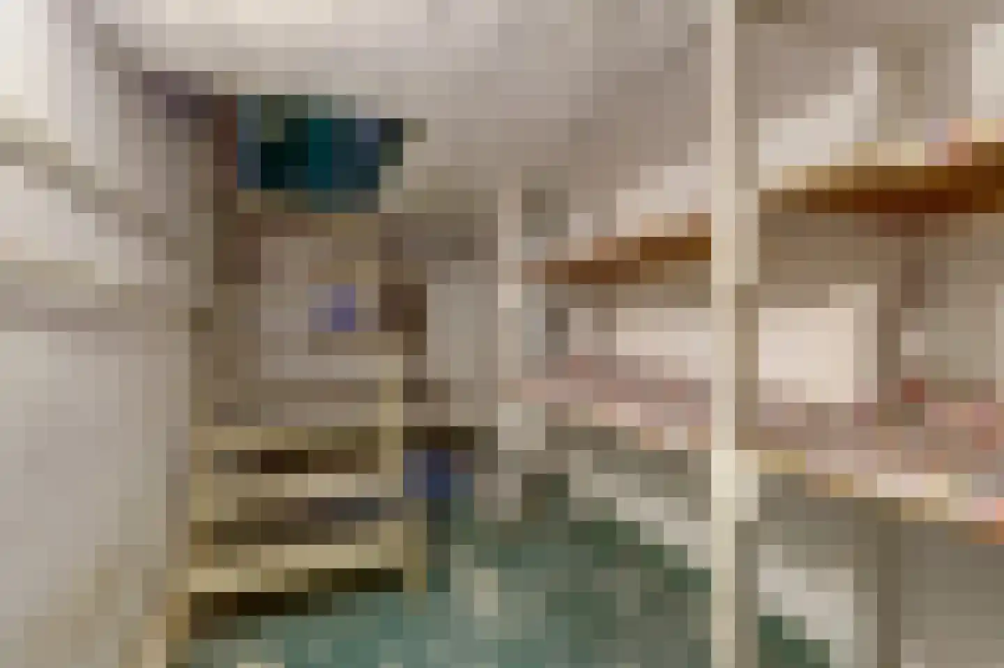 Nijmeegsestraat 5 Gendt thumbnail 10