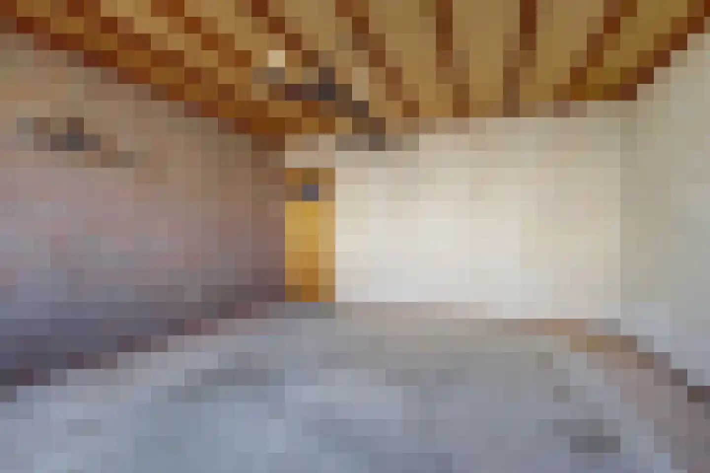 Nijmeegsestraat 5 Gendt thumbnail 14