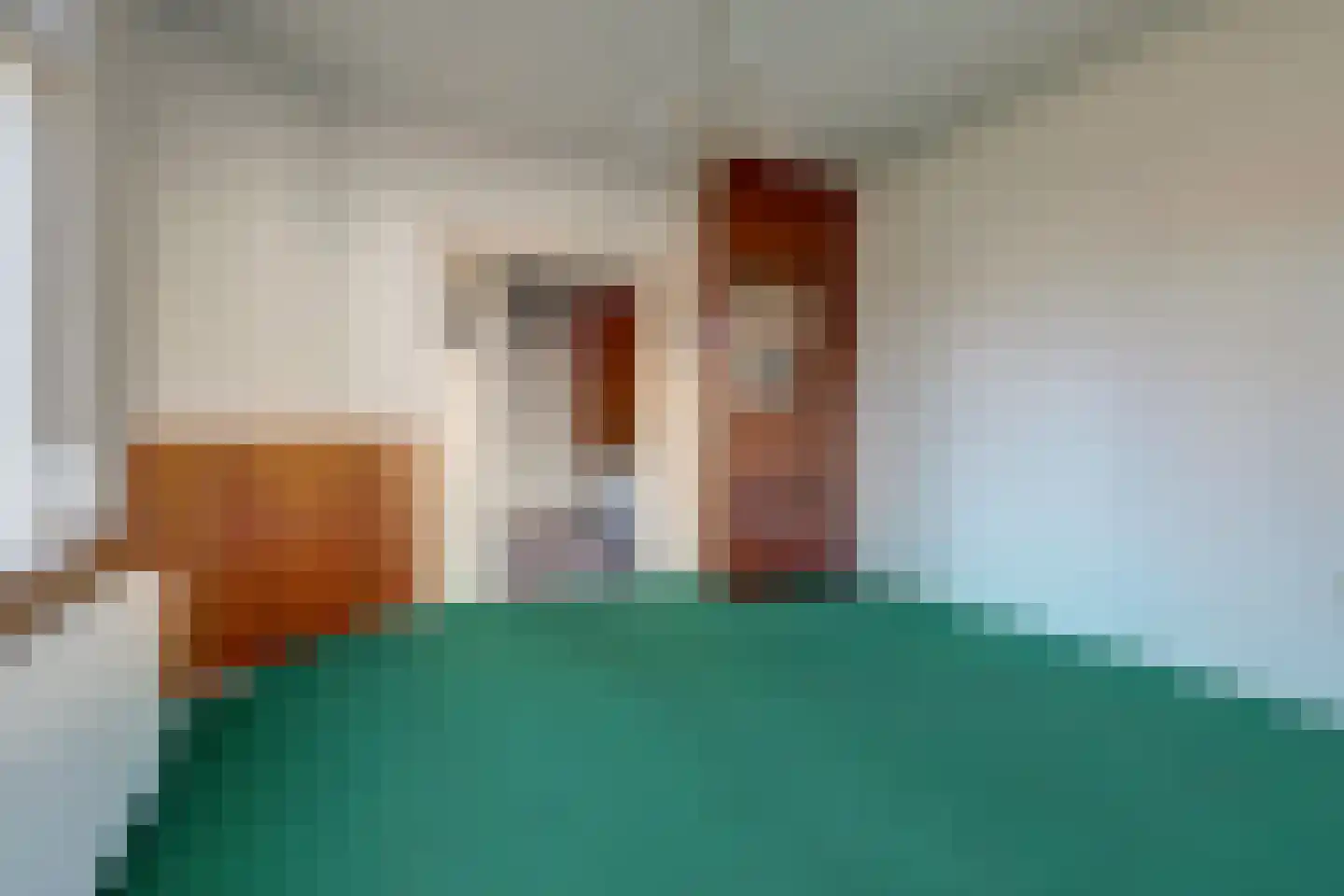 Nijmeegsestraat 5 Gendt thumbnail 33