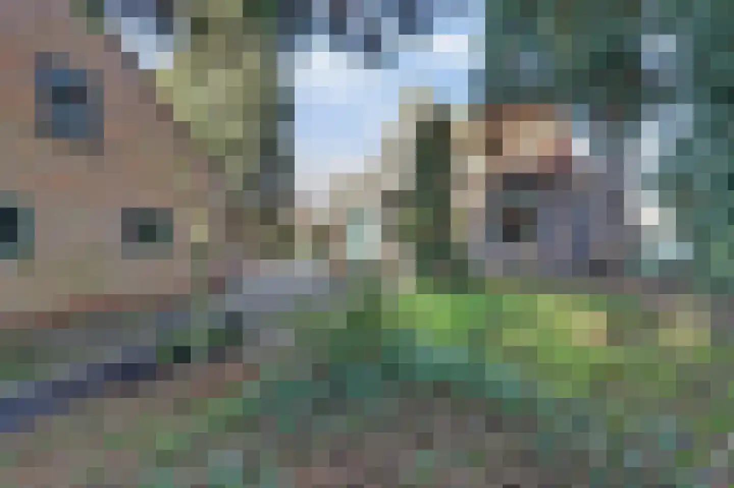 Nijmeegsestraat 5 Gendt thumbnail 36