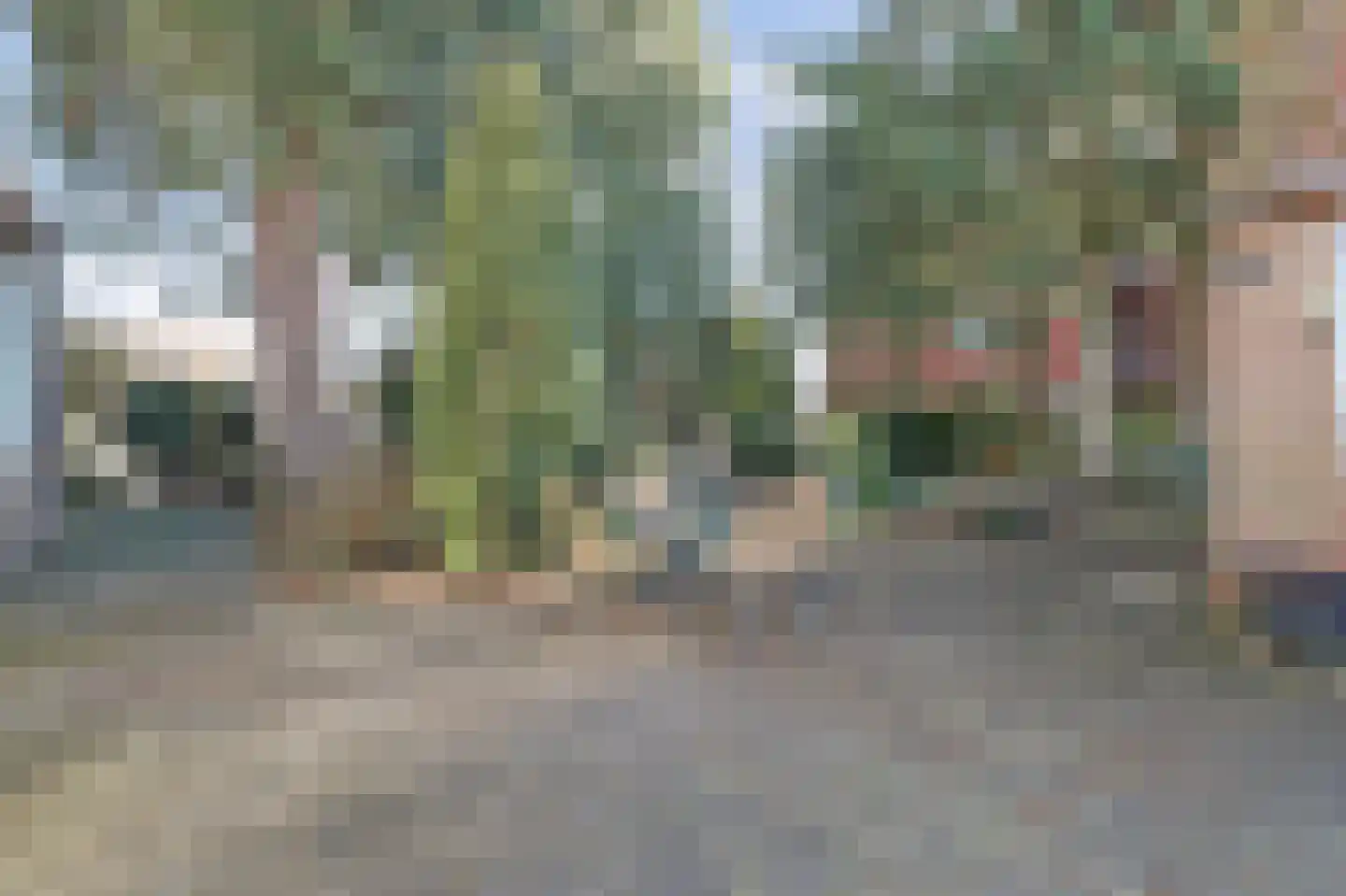 Nijmeegsestraat 5 Gendt thumbnail 37