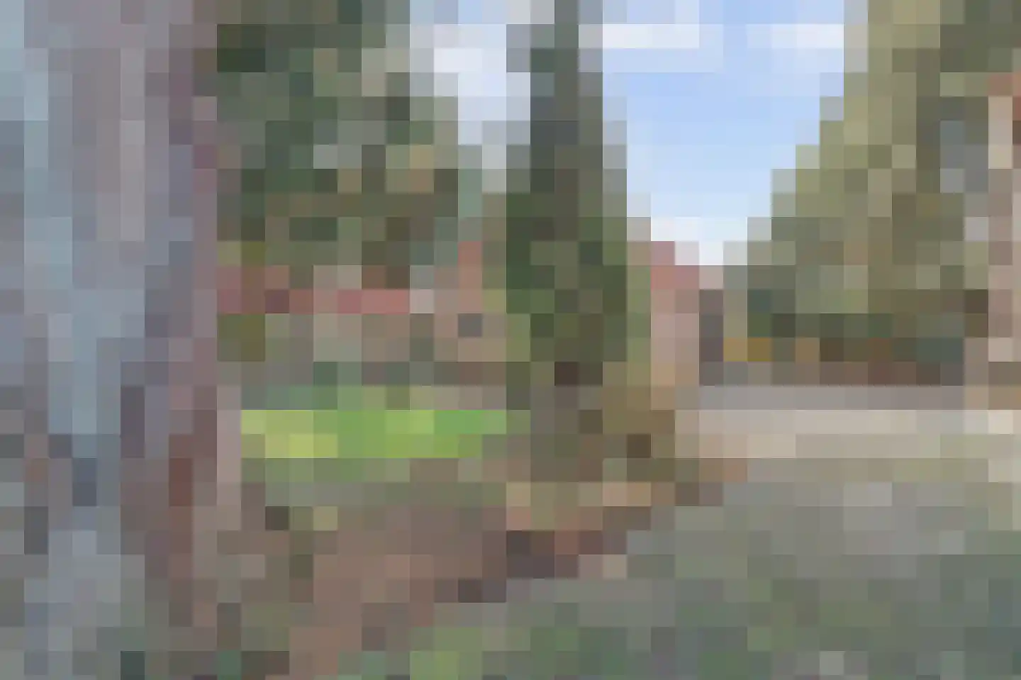 Nijmeegsestraat 5 Gendt thumbnail 39