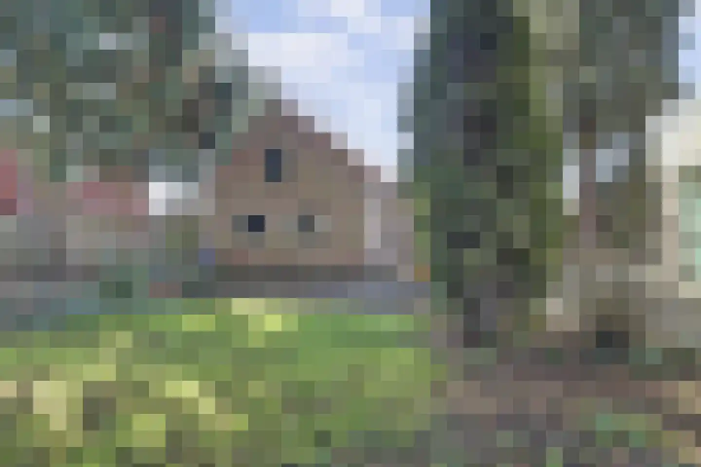 Nijmeegsestraat 5 Gendt thumbnail 40