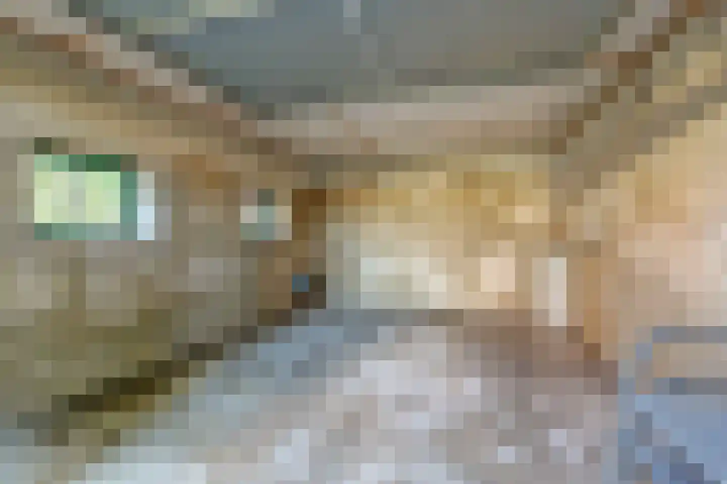 Nijmeegsestraat 5 Gendt thumbnail 44